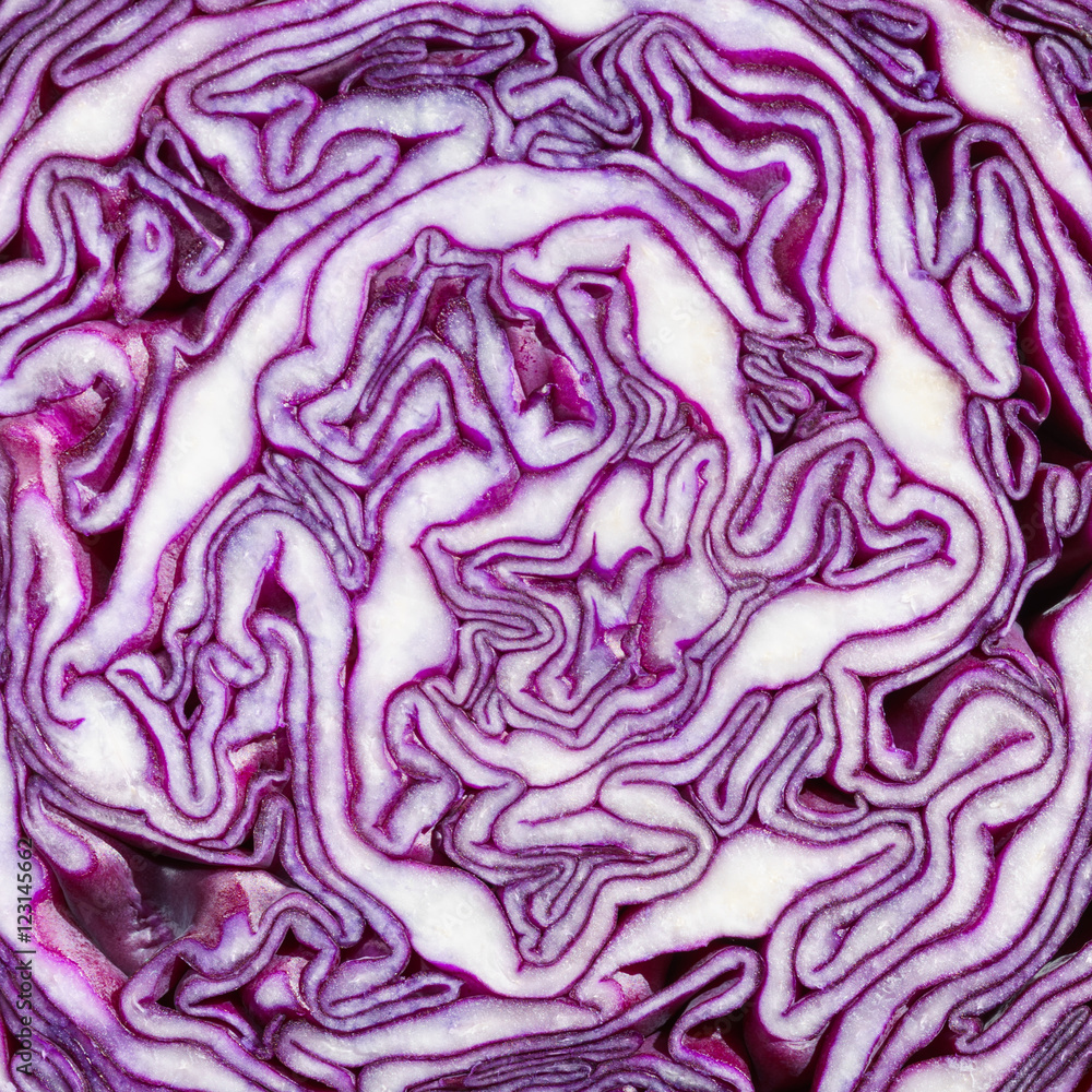 Texture of red cabbage cut in half close up Texture of red cabbage cut in half close up
