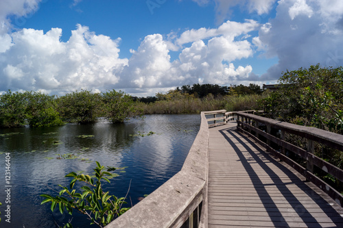 Wallpaper Mural Anhinga Trail Everglades National Park USA Torontodigital.ca