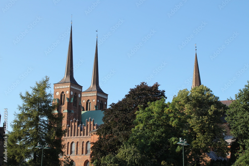 Fototapeta premium Der Dom in Roskilde