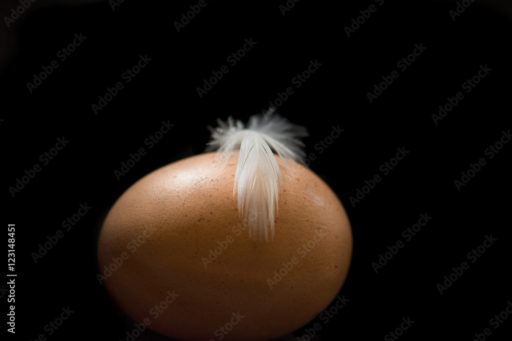 Obraz premium Egg