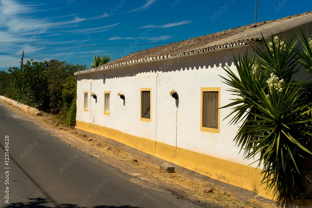 Typical Portugese house