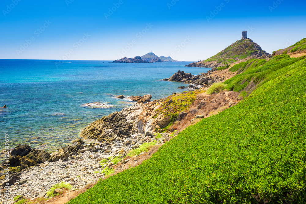 Fototapeta premium Genoese tower of Parata penisula, Corsica, France.