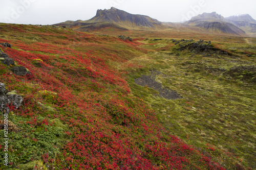 Wild landscapes of Iceland in Autumn © whatafoto