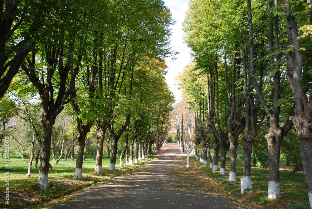осенняя аллея осенняя аллея