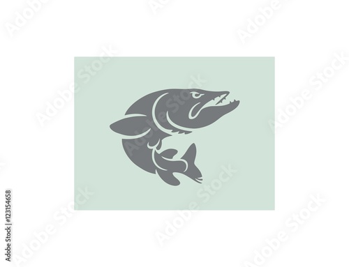 pike fish