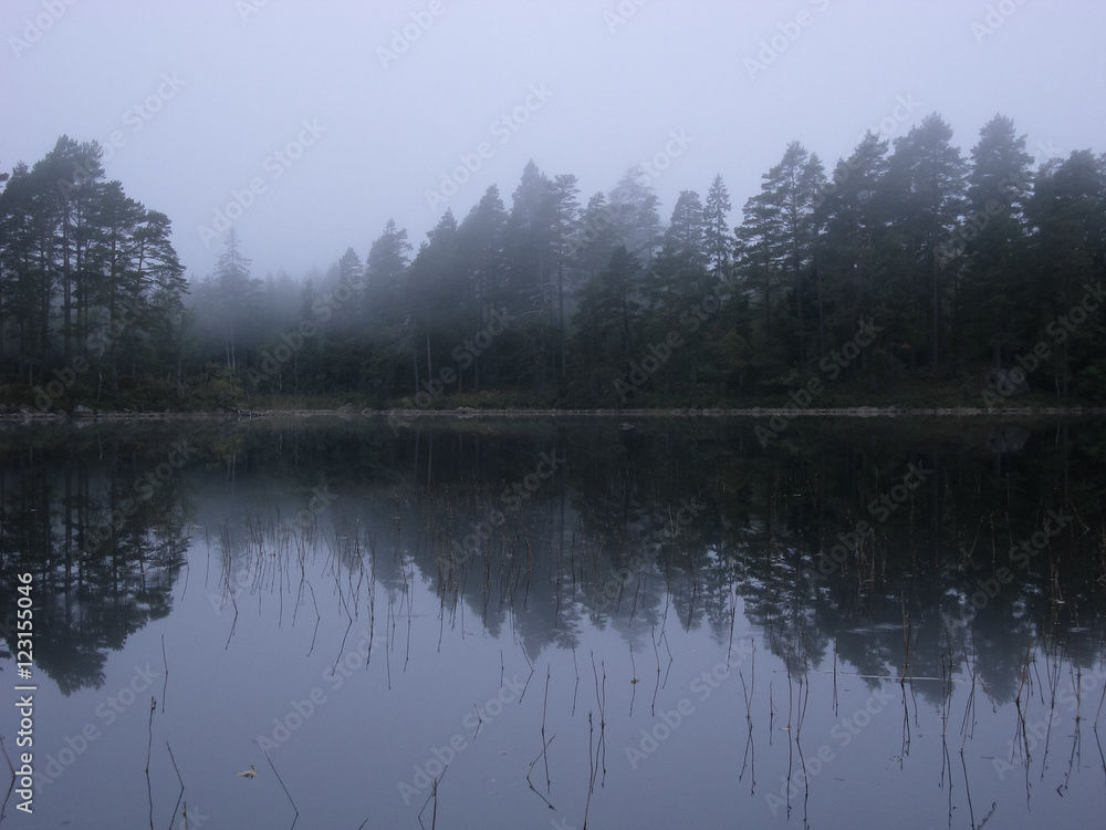 Stora Trehörnigen Lake, Tiveden National Park