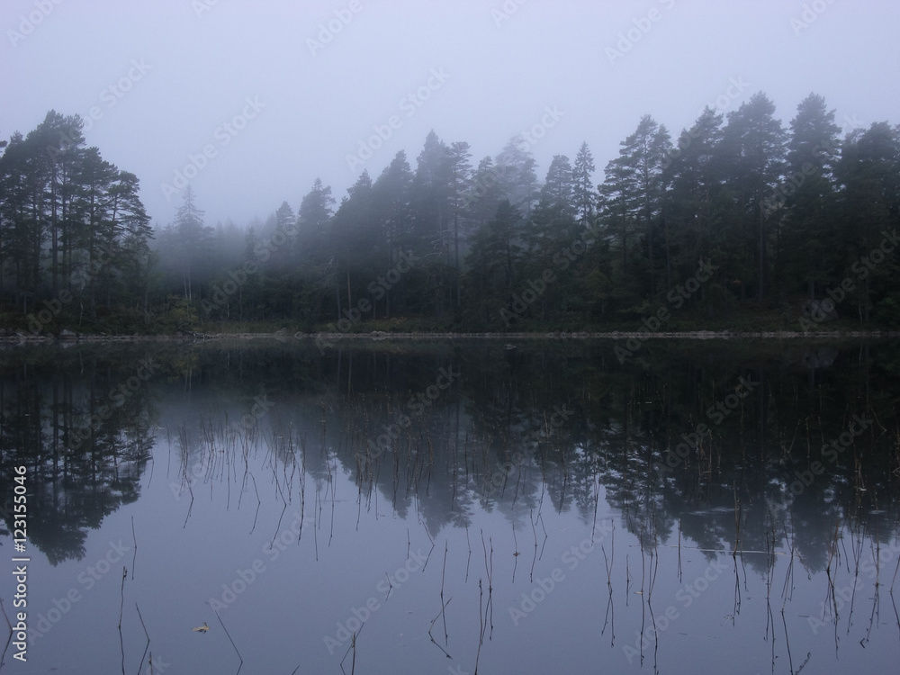 Fototapeta premium Stora Trehörnigen Lake, Tiveden National Park