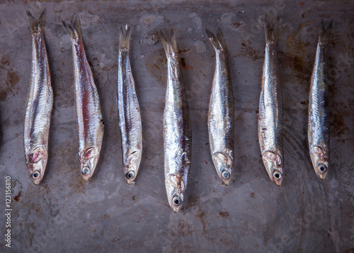 Canvas-taulu Anchovy Fresh Marine Fish.Appetizer. selective focus.