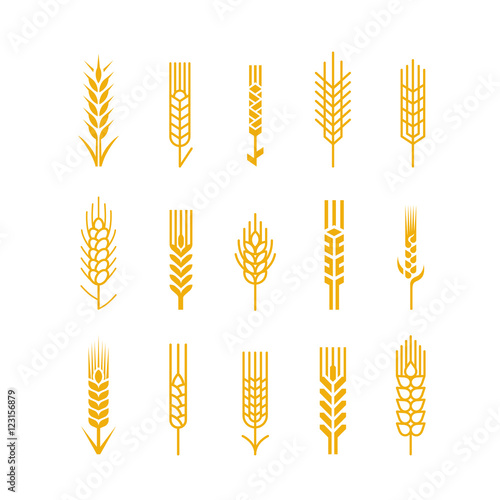 Spikes vector icon Design Elements Logo Bread Bakery Beer photo