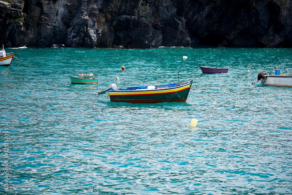 Naklejka premium fishing boats in Madeira