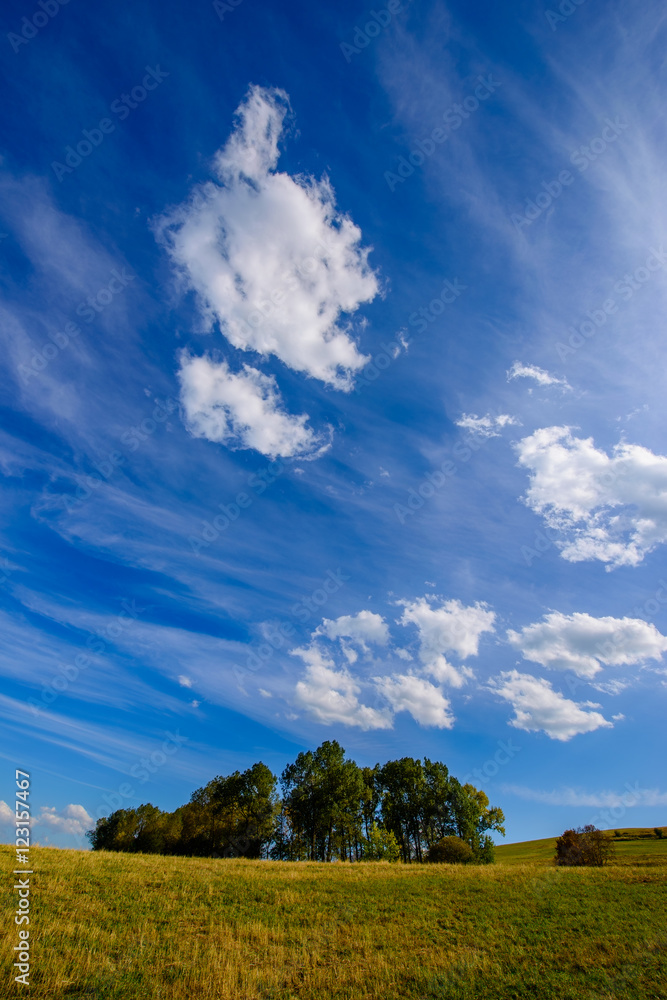 Breathtaking skyscape with beautiful trees, Armenia