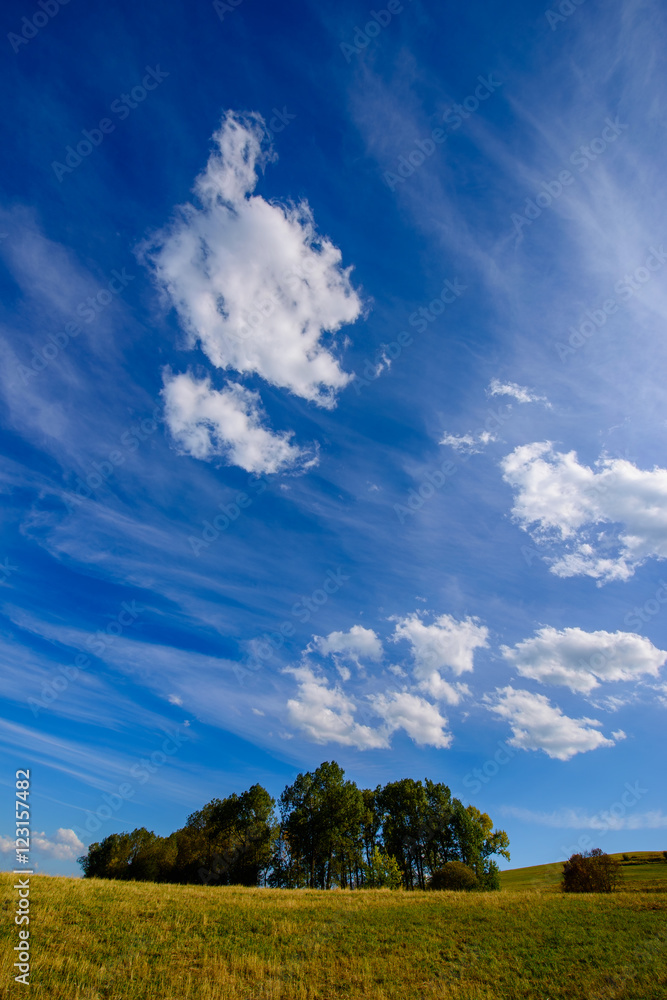 Breathtaking skyscape with beautiful trees, Armenia Breathtaking skyscape with beautiful trees, Armenia