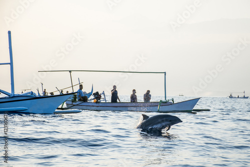 Bali free Dolphin Watching boat Lovina Beach