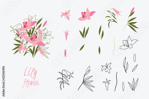 Illustration greeting hand-drawn lily floral background
