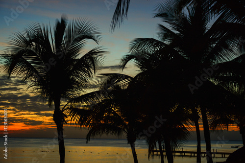 Palm trees silhouette at sunset in Domincan Republic photo