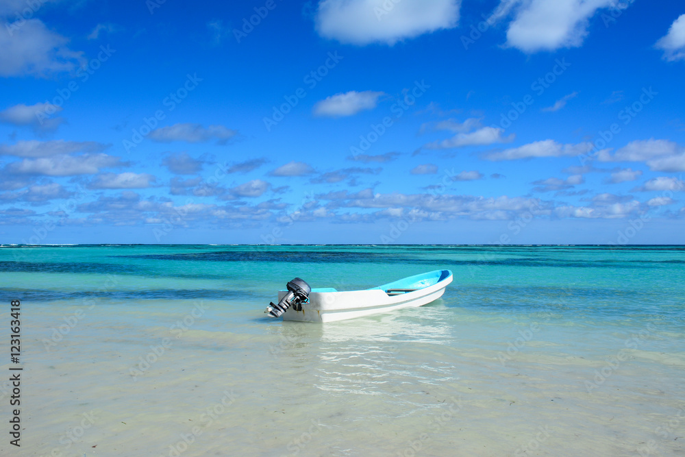 Paradise caribbean landscape with a crystal sea water and a boa Paradise caribbean landscape with a crystal sea water and a boa