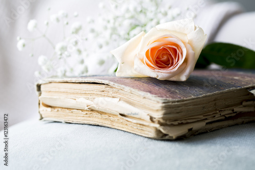 Book and Pink Rose photo