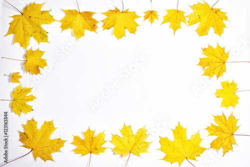 Frame composed of colorful autumn leaves.