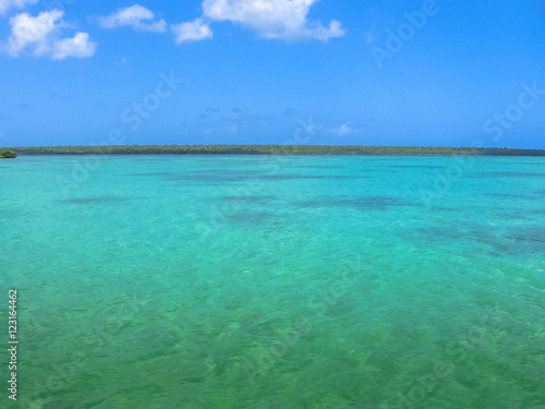 The spectacular natural pool of Canto de la Playa  Saona Island in East National Park  Dominican Republic. Canto de la Playa is one of the most popular tours starting from the Bayahibe.