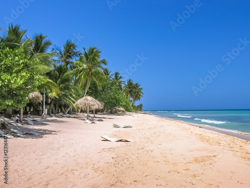 Tableau sur toile Coconut palms on popular Canto de la Playa in Saona Island, Parque Nacional del Este, East National Park, Dominican Republic