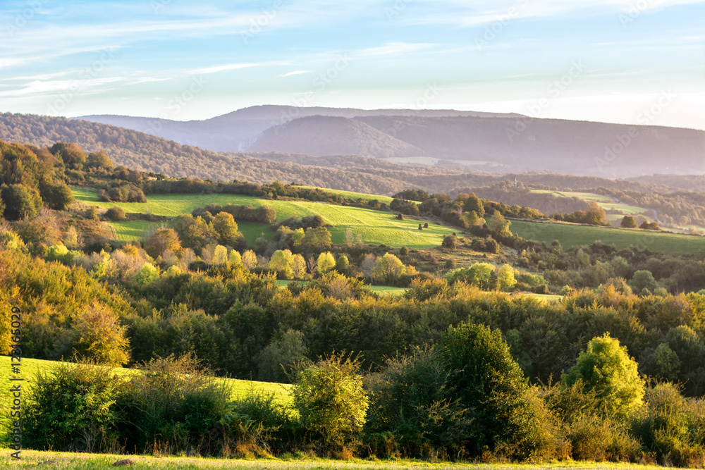 Obraz premium countryside at irati forest in navarre, spain