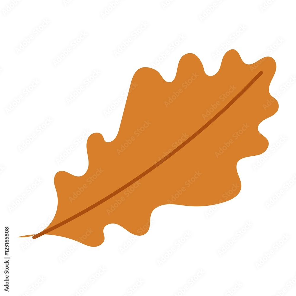autumn leaf vector illustration.