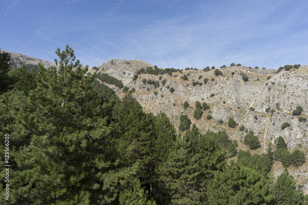 Parque Natural Sierras de Tejeda, Almijara y Alhama, cima de la maroma