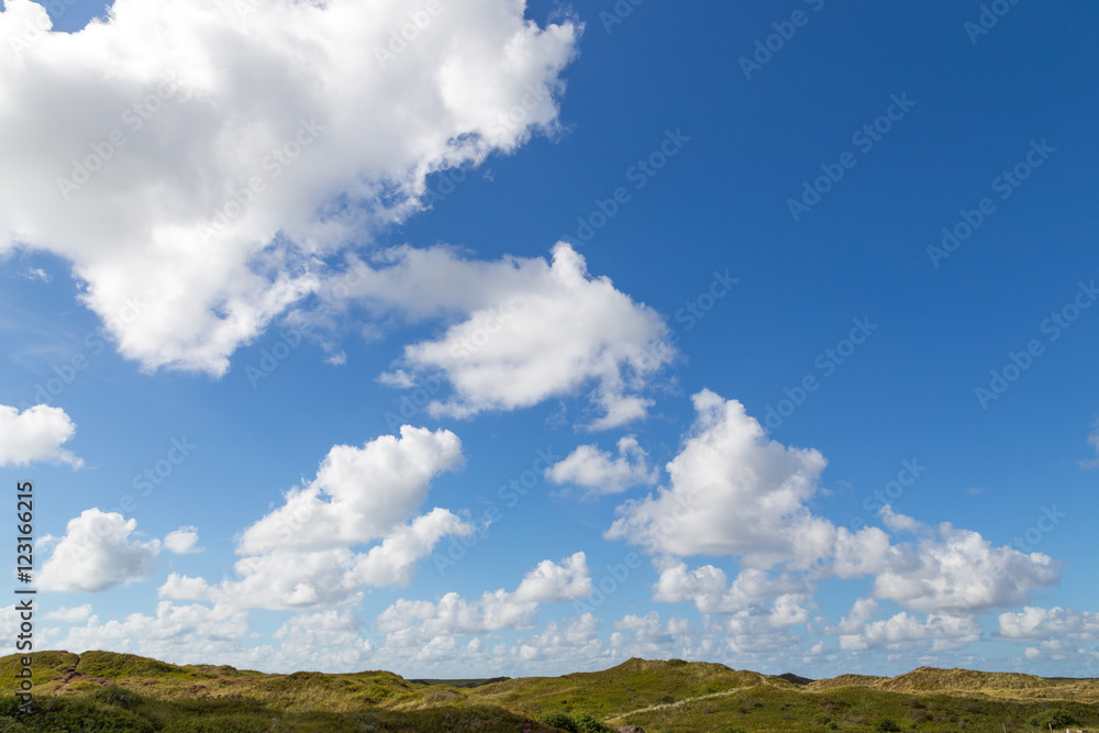 Dune landscape on Texel, Netherlands.