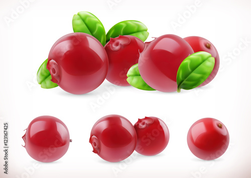 Lingonberry. Cowberry sweet fruit. Forest berry. 3d vector icons set. Realistic illustration