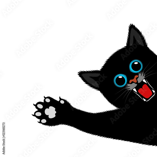 playful kitten on a white background