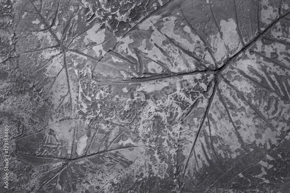 Fototapeta premium concrete pavement flooring top view background