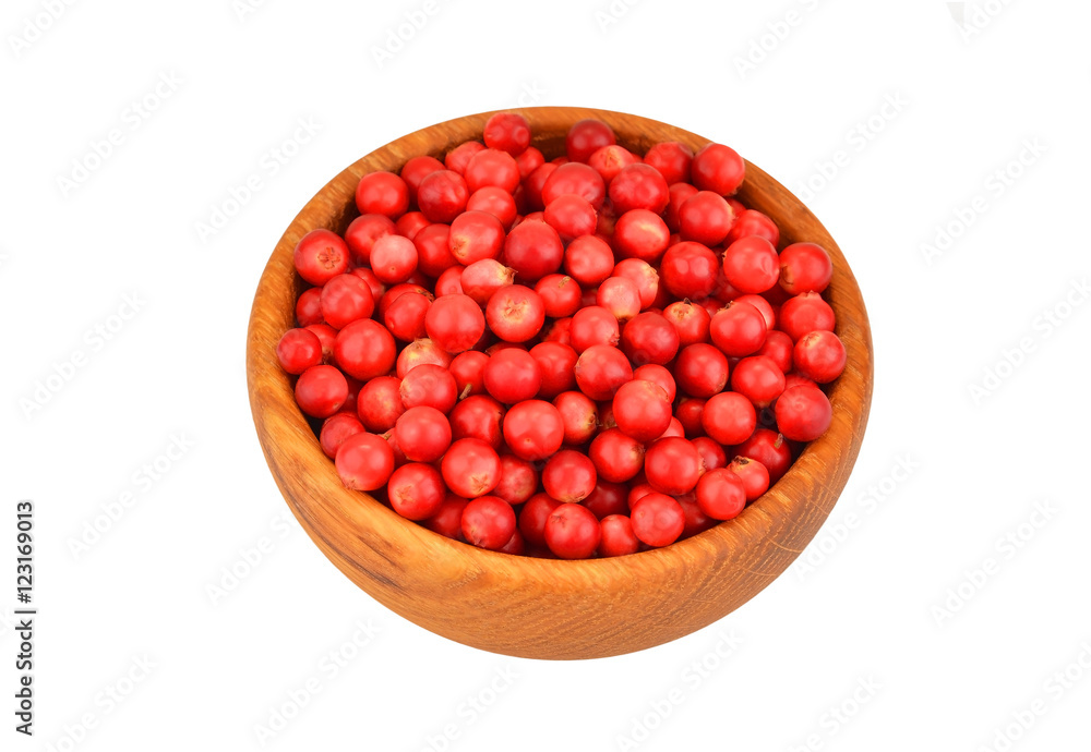 Lingonberry (Vaccinium vitis-idaea) Lingonberry (Vaccinium vitis-idaea)