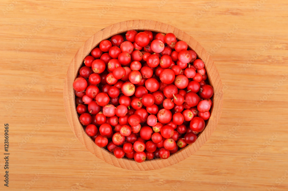Lingonberry (Vaccinium vitis-idaea) Lingonberry (Vaccinium vitis-idaea)