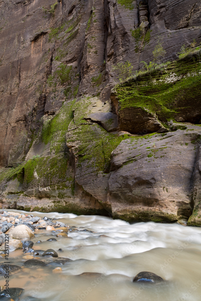 Fototapeta premium Zion National Park