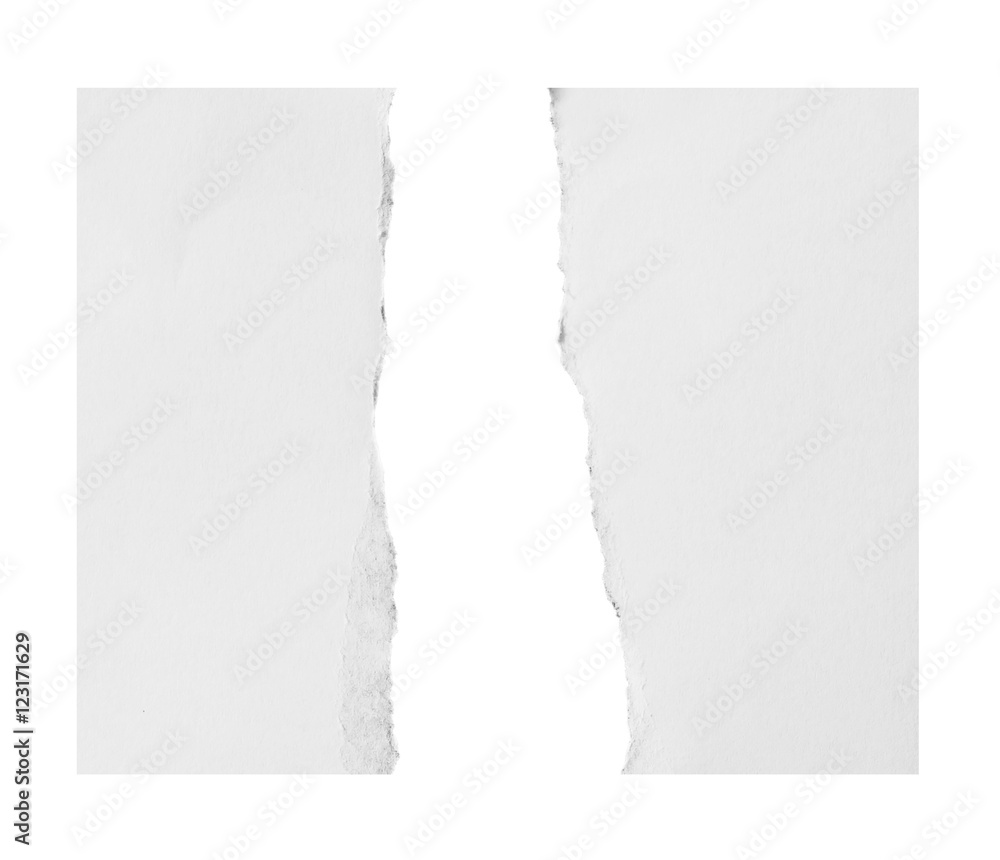 Fototapeta premium Ripped paper, space for copy