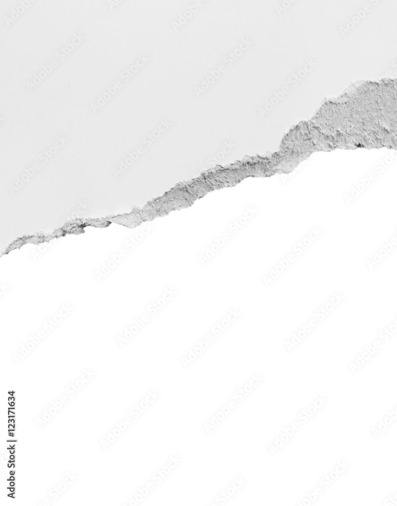 Ripped paper, space for copy