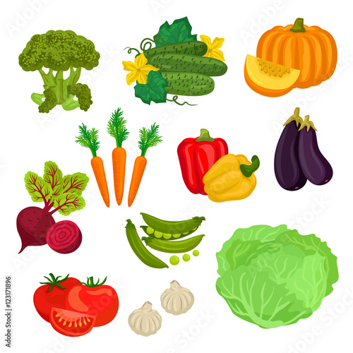 Farm vegetables isolated flat icons