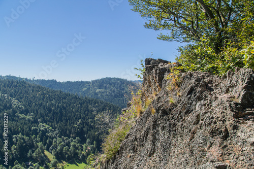 Gratweg und Landschaft auf dem Karlsruher Grat; Schwarzwald Sommer photo