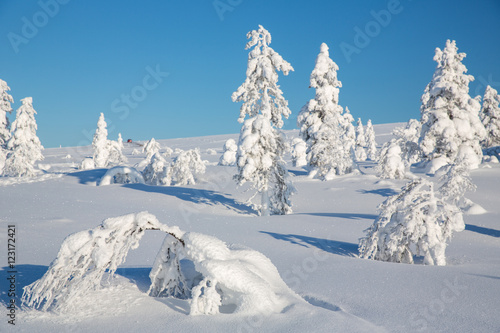Landscape in Lapland, Finland.