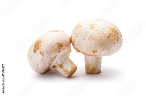 Two Champignon Isolated on White