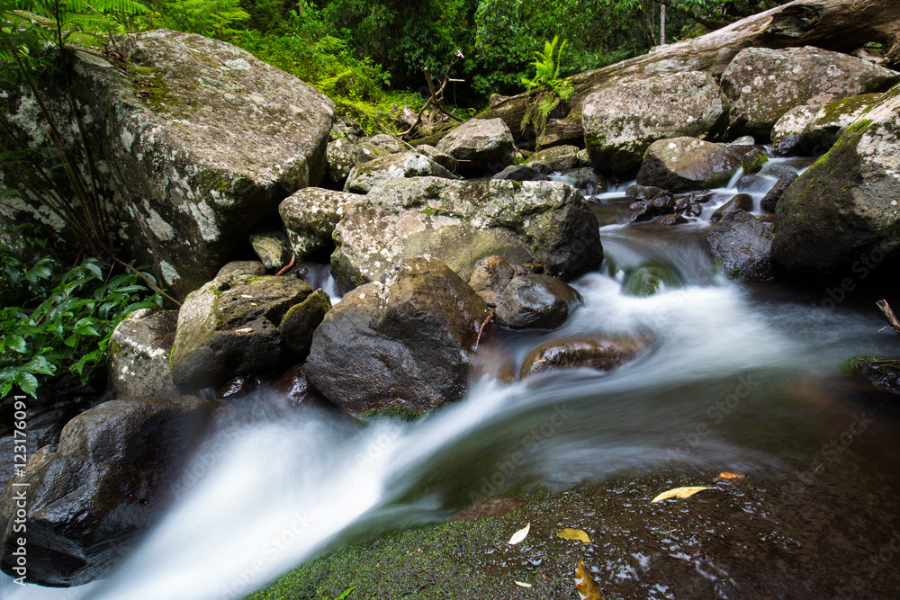 Gold Coast and Tweed Coast hinterland waterfalls Gold Coast and Tweed Coast hinterland waterfalls