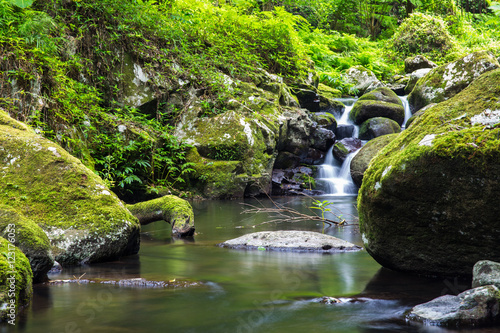 Gold Coast and Tweed Coast hinterland waterfalls