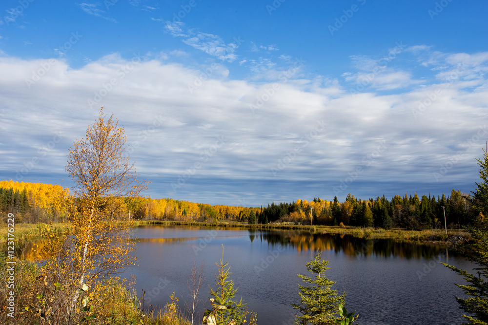 Large pond of water surrounded by a forest of green and yellow trees in a Saskatchewan autumn landscape