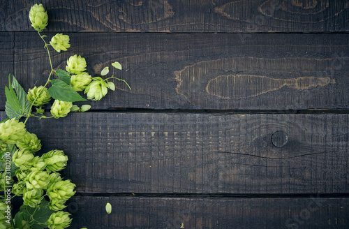 Border from green hop branches on dark rustic wooden background.