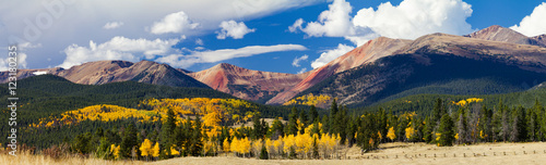 Panoramic Fall Forest of Aspen Trees Landscape in the Colorado Rocky Mountains