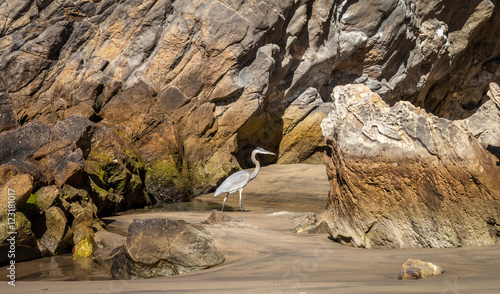 Blue heron sand and rocky beach Corona Del Mar beach, Newport Beach California