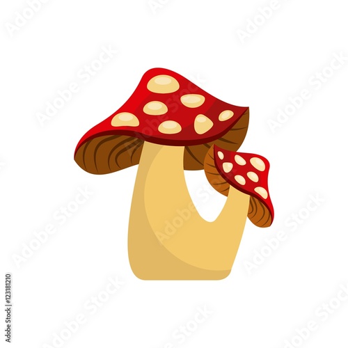 cute drawing fairy mushroom vector illustration design
