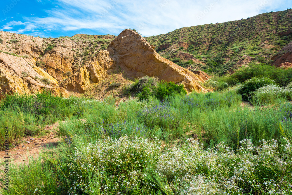 Fototapeta premium Mountain landscape in the canyon Fairy Tale, Kyrgyzstan.
