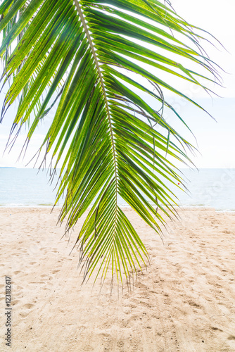 Palm and tropical beach at Pattaya in Thailand © topntp
