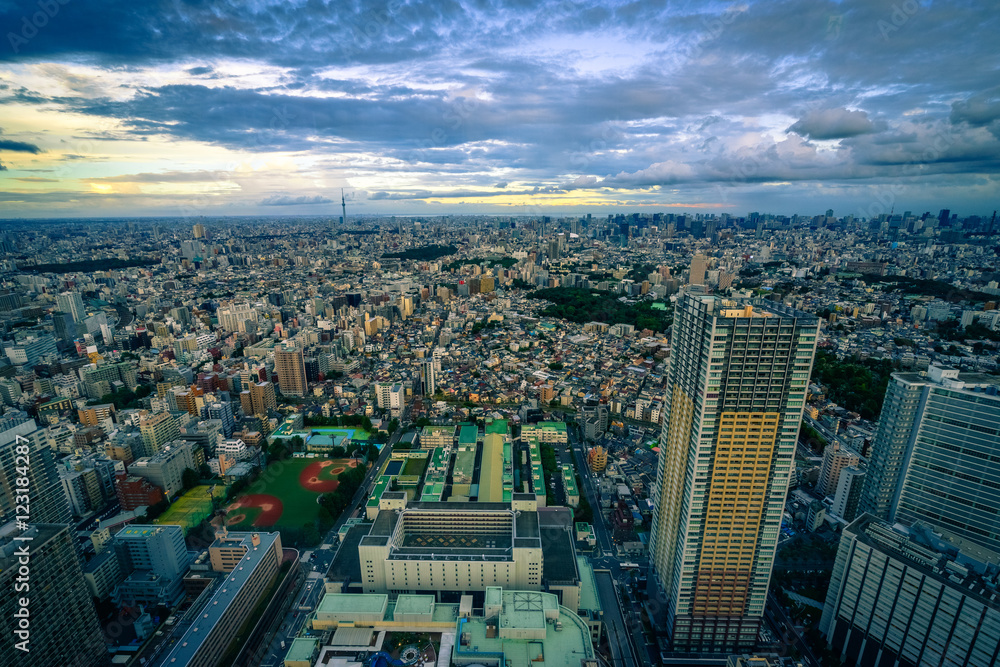 A view of Tokyo